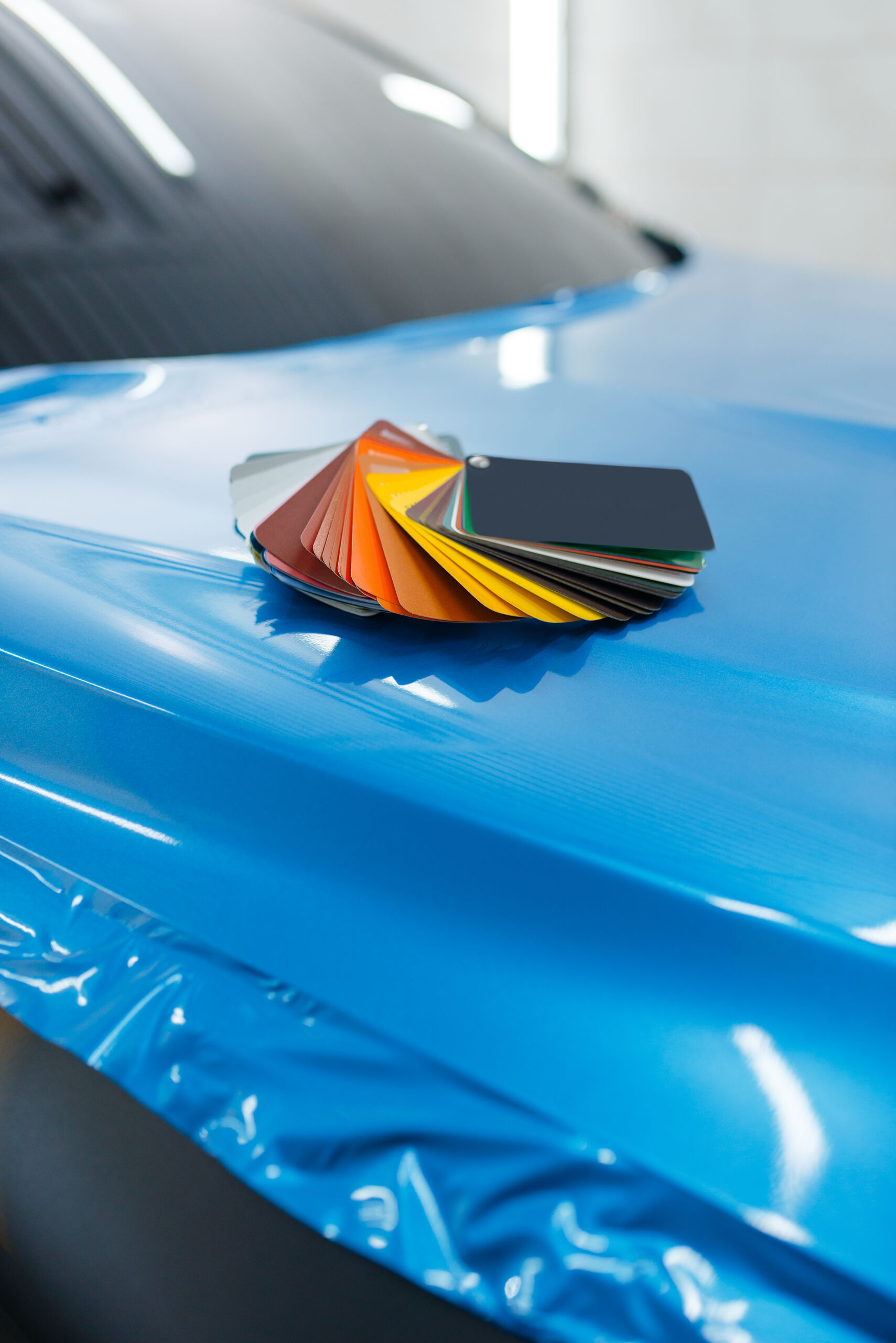 Vehicle Wrap